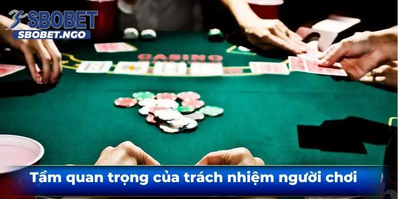 Tam-quan-trong-cua-trach-nhiem-nguoi-choi