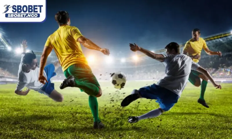 Tìm hiểu xu hướng cá cược bóng đá online 2025